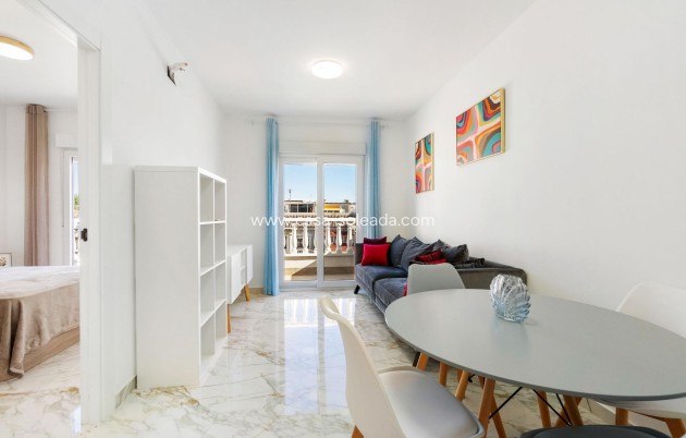 Wiederverkauf - Villa - Torrevieja - El chaparral