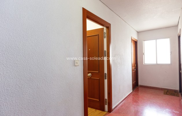 Wiederverkauf - Studio - Torrevieja - Beach