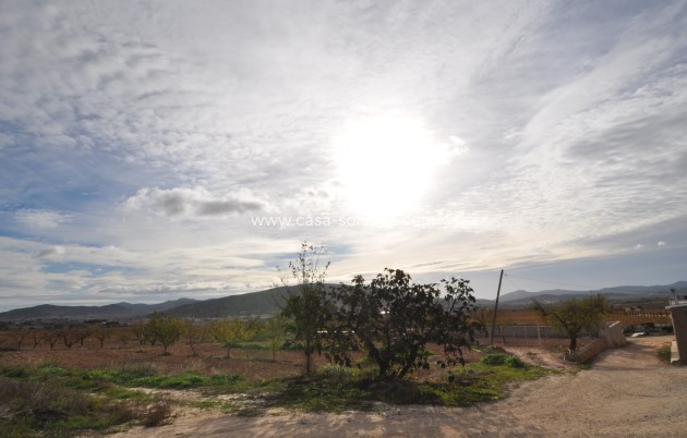 Wiederverkauf - Country Property/Finca - Pinoso - Inland