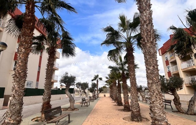 Obra nueva - Apartamento / piso - Orihuela Costa - Lomas de Cabo Roig