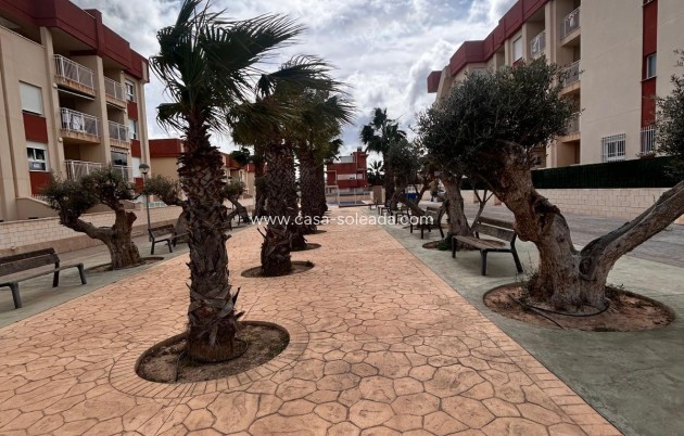 Neue Gebäude - Wohnung - Orihuela Costa - Lomas de Cabo Roig
