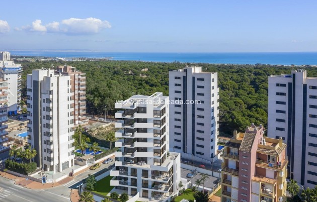 Neue Gebäude - Wohnung - Guardamar del Segura - Avenida del Puerto
