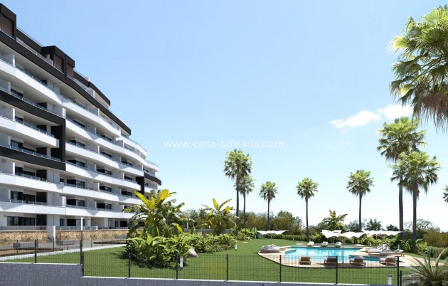 New Build - Apartment / flat - San Miguel de Salinas - Pueblo
