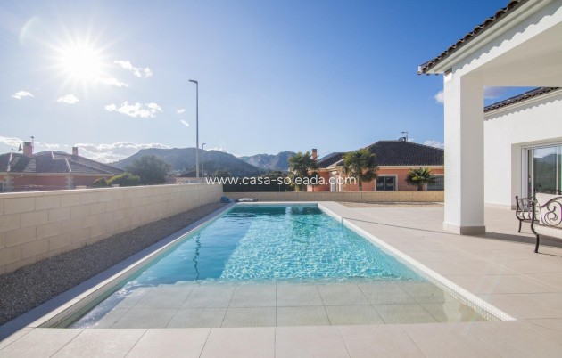 Nieuwbouw Woningen - Villa - Pinoso - Lel