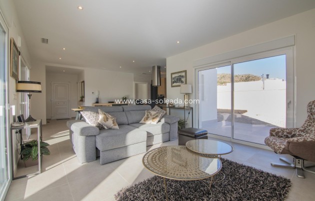 Nieuwbouw Woningen - Villa - Pinoso - Lel