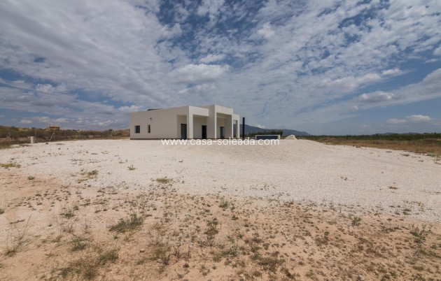 Nieuwbouw Woningen - Villa - Pinoso - Lel