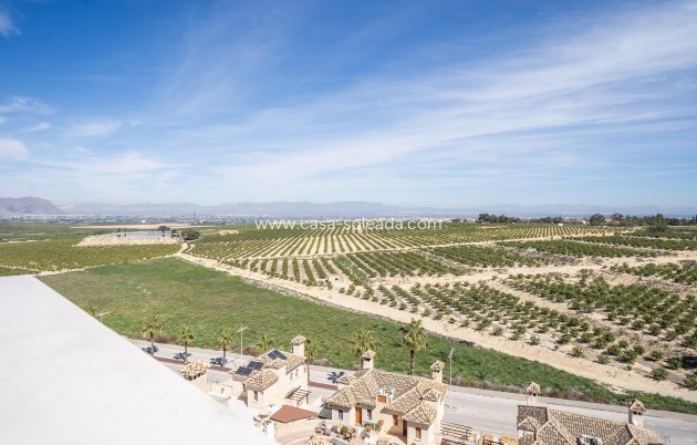 New Build - Villa - Algorfa - La Finca Golf Resort