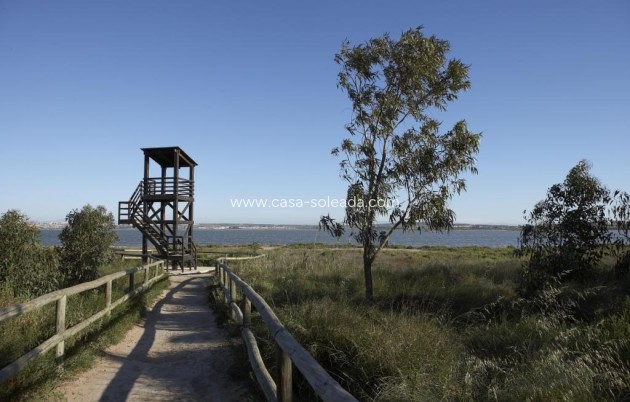 New Build - Apartment / flat - San Miguel de Salinas - Pueblo