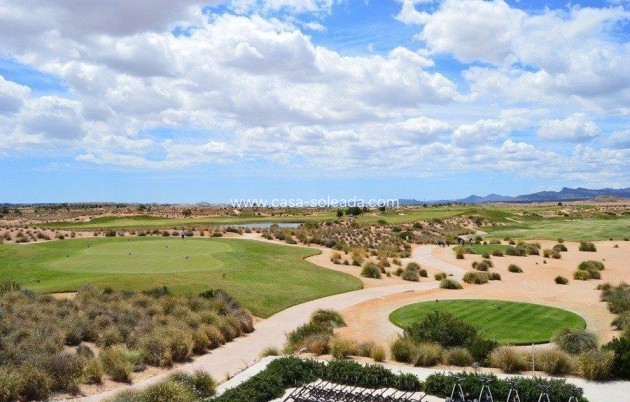 Neue Gebäude - Villa - Alhama de Murcia - Condado De Alhama
