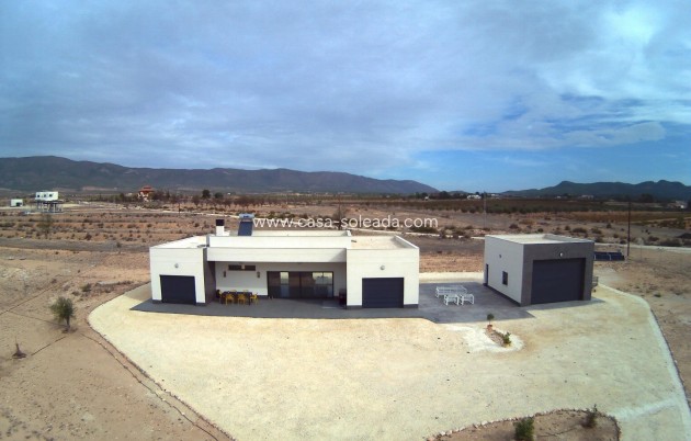 Neue Gebäude - Villa - Pinoso - Camino Del Prado