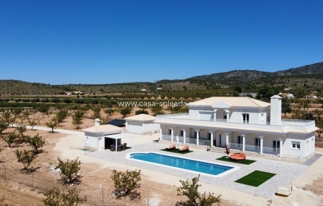 New Build - Villa - Pinoso - Camino Del Prado