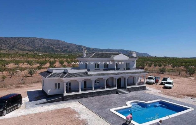 Neue Gebäude - Villa - Pinoso - Camino Del Prado