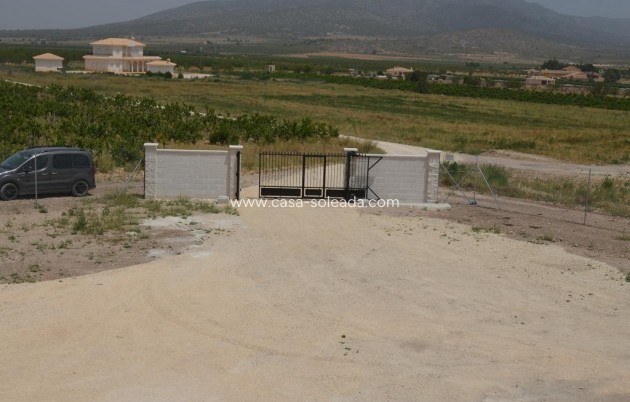 Neue Gebäude - Villa - Pinoso - Camino Del Prado