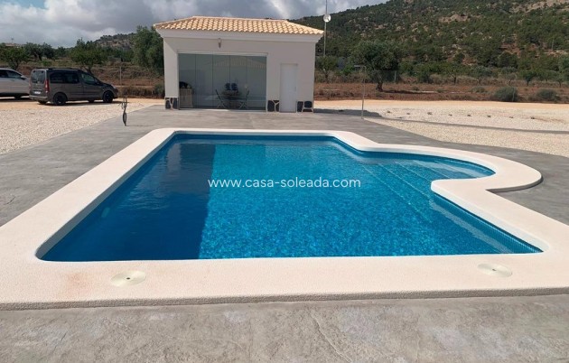 Neue Gebäude - Villa - Pinoso - Camino Del Prado