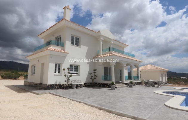 Neue Gebäude - Villa - Pinoso - Camino Del Prado