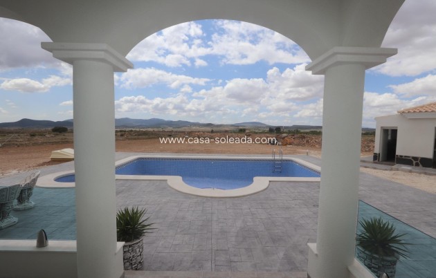 Neue Gebäude - Villa - Pinoso - Camino Del Prado