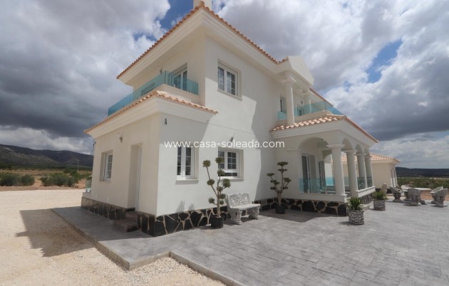 Neue Gebäude - Villa - Pinoso - Camino Del Prado