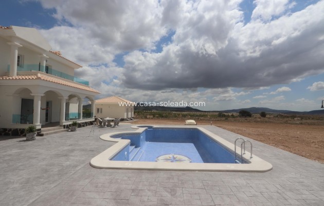 Neue Gebäude - Villa - Pinoso - Camino Del Prado