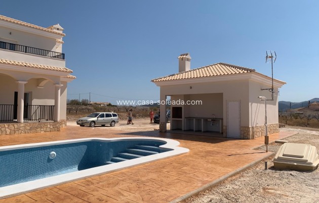 Neue Gebäude - Villa - Pinoso - Camino Del Prado