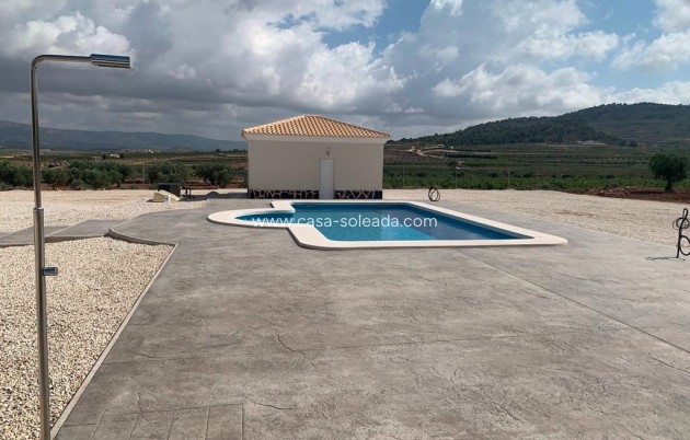 Neue Gebäude - Villa - Pinoso - Camino Del Prado