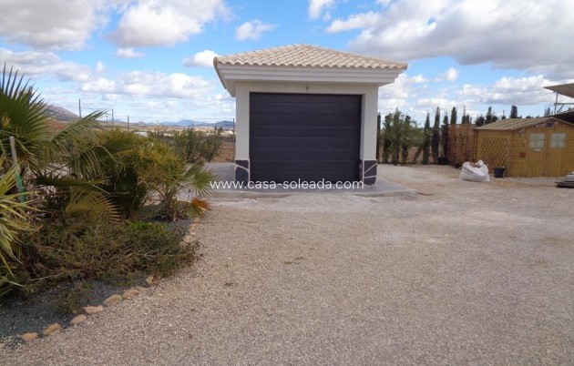 Neue Gebäude - Villa - Pinoso - Camino Del Prado