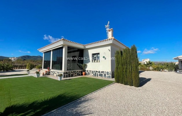 Neue Gebäude - Villa - Pinoso - Camino Del Prado