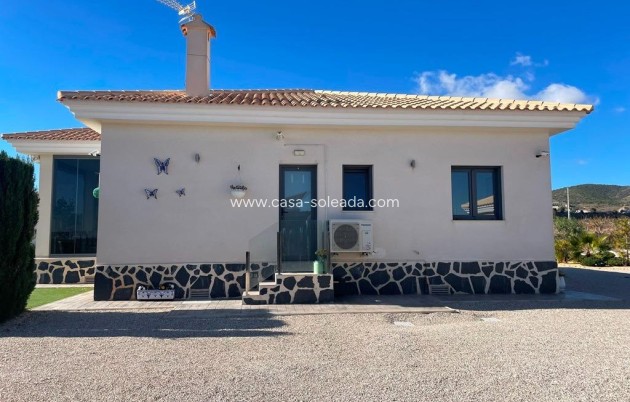 Neue Gebäude - Villa - Pinoso - Camino Del Prado
