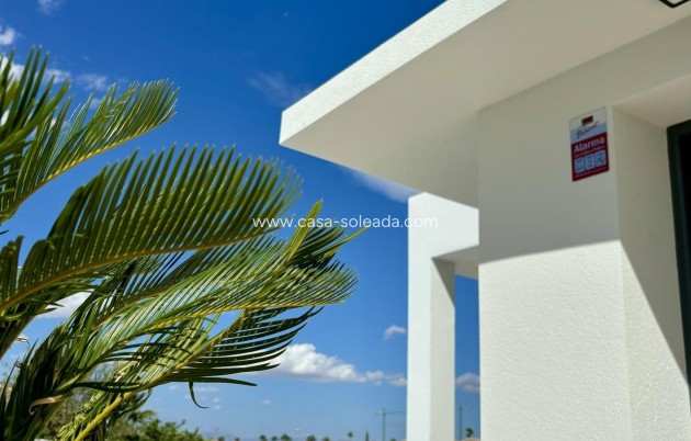 New Build - Villa - Benijofar - Pueblo