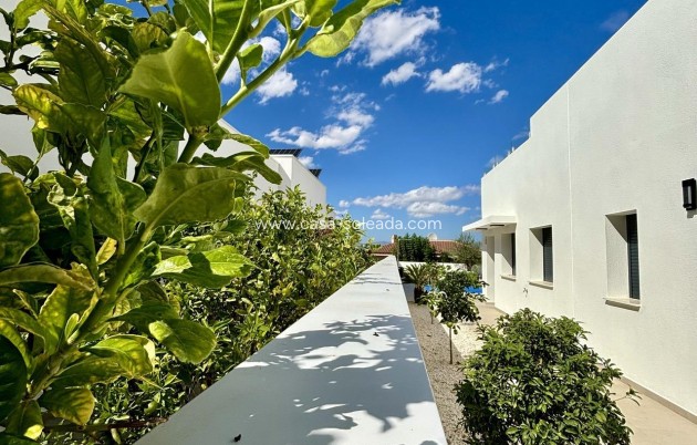 New Build - Villa - Benijofar - Pueblo