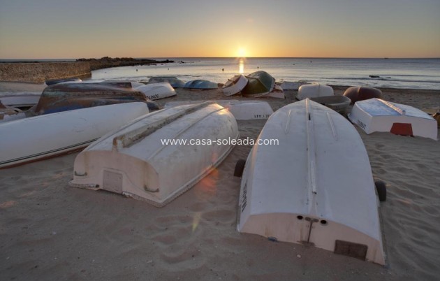 Neue Gebäude - Villa - Torrevieja - Sector 25