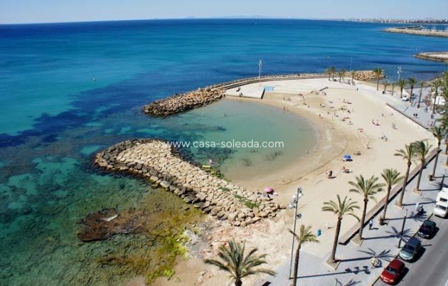 New Build - Apartment / flat - Torrevieja - Center