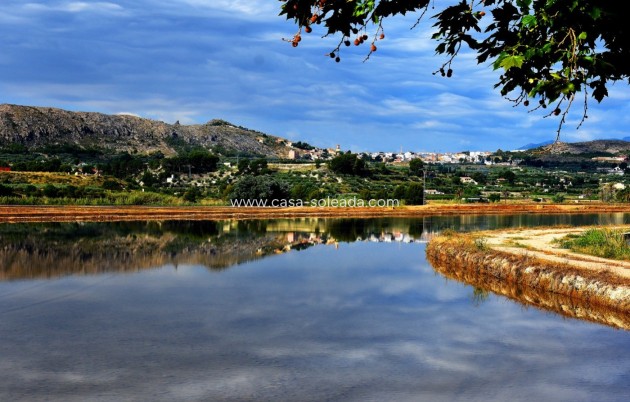 Neue Gebäude - Villa - Calasparra - Coto Riñales
