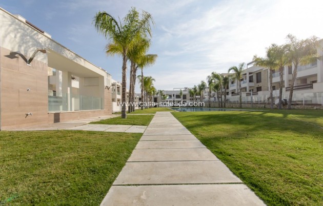 Neue Gebäude - Bungalow - Torrevieja - Los Balcones