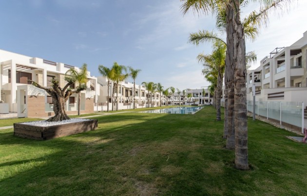 Neue Gebäude - Bungalow - Torrevieja - Los Balcones