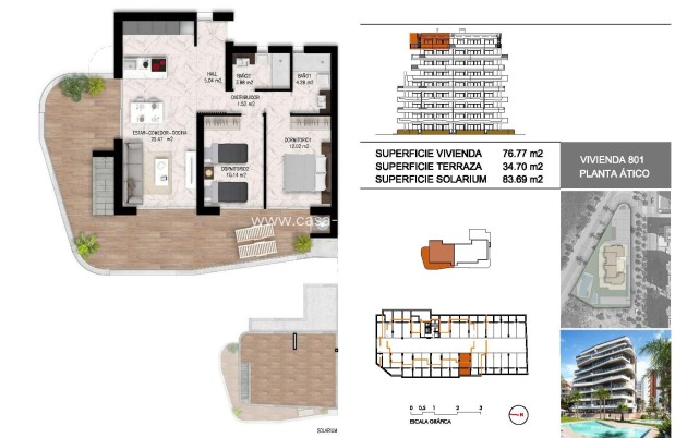 Neue Gebäude - Wohnung - Guardamar del Segura - Puerto