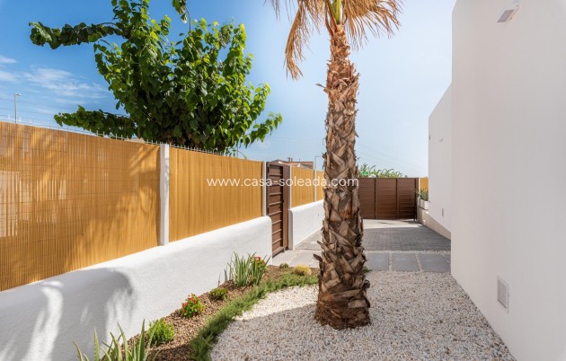 Nouvelle construction - Villa - Dolores - polideportivo