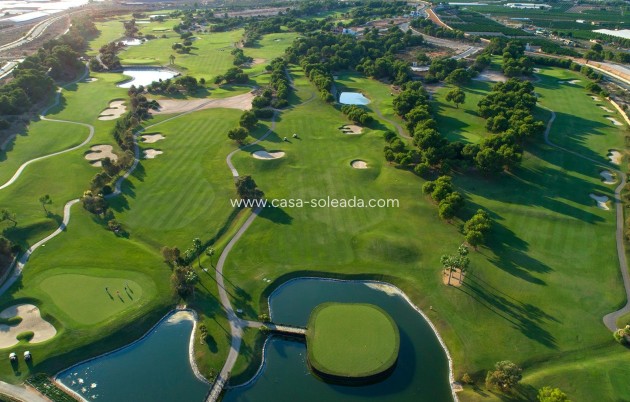 New Build - Villa - Pilar de la Horadada - Lo Romero Golf