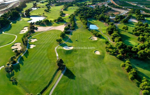 New Build - Villa - Pilar de la Horadada - Lo Romero Golf
