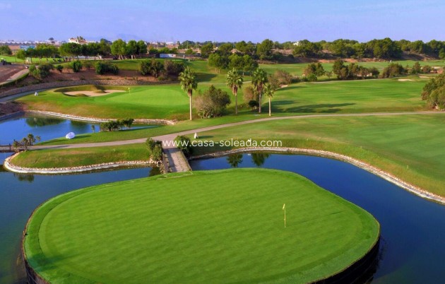 New Build - Villa - Pilar de la Horadada - Lo Romero Golf