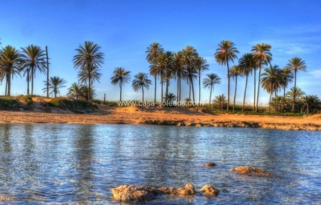 New Build - Apartment / flat - Torrevieja - Playa de El Cura