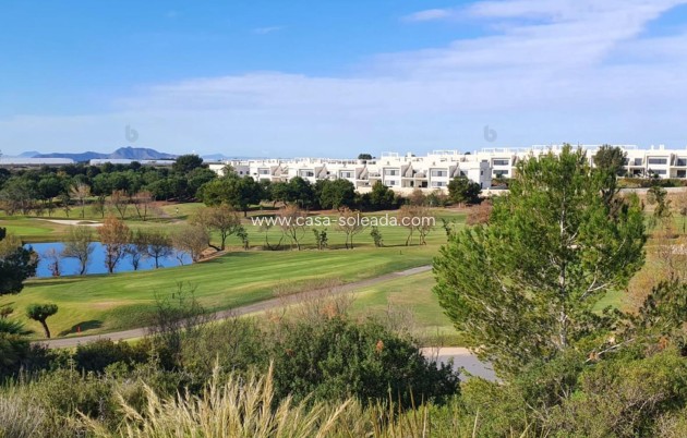 Neue Gebäude - Villa - Pilar de la Horadada - Lo Romero Golf