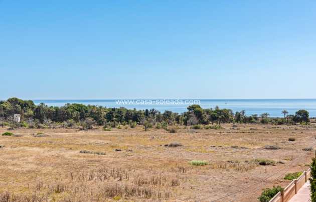 Wiederverkauf - Wohnung - Torrevieja - Rocio del mar