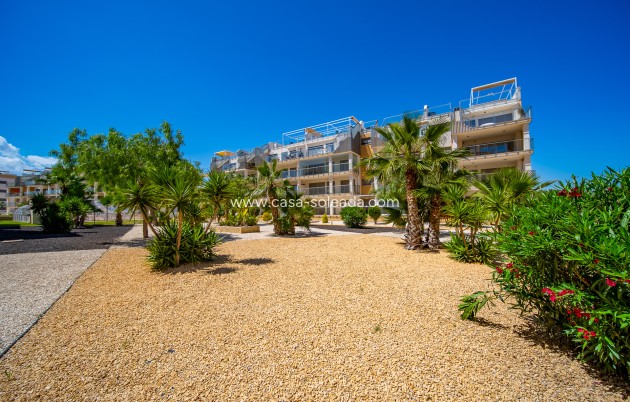 Wiederverkauf - Wohnung - Orihuela Costa - Villamartín