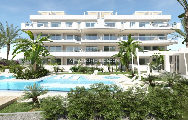 Obra nueva - Apartamento / piso - Cabo Roig