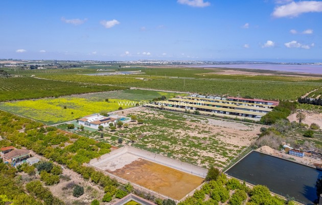 Revente - Villa - Los Montesinos