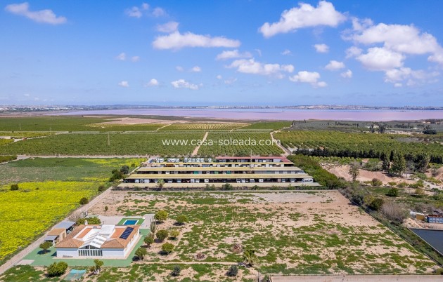 Revente - Villa - Los Montesinos