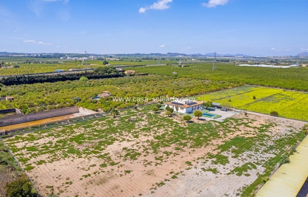 Revente - Villa - Los Montesinos