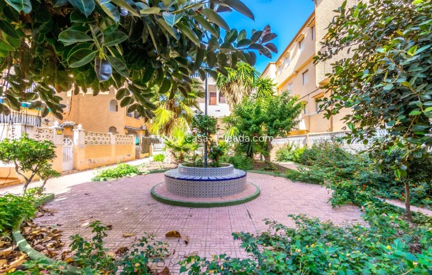 Wiederverkauf - Wohnung - Torrevieja - Los Europeos