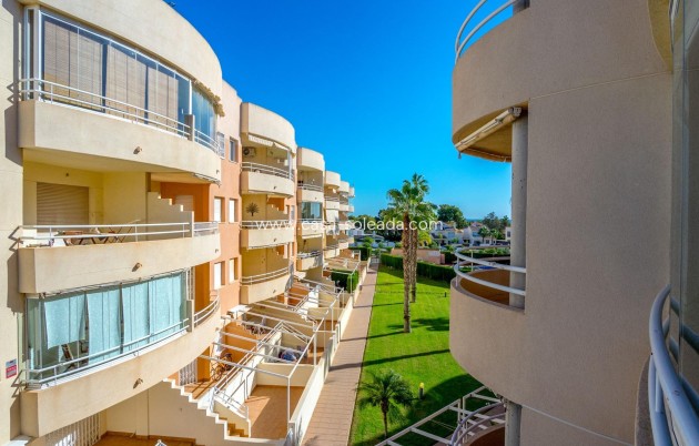 Wiederverkauf - Wohnung - Orihuela Costa - Altos De Campoamor