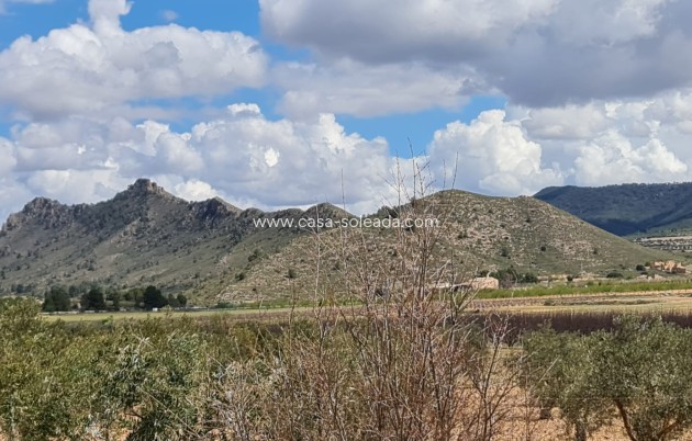 Wiederverkauf - Country Property/Finca - Yecla - Inland